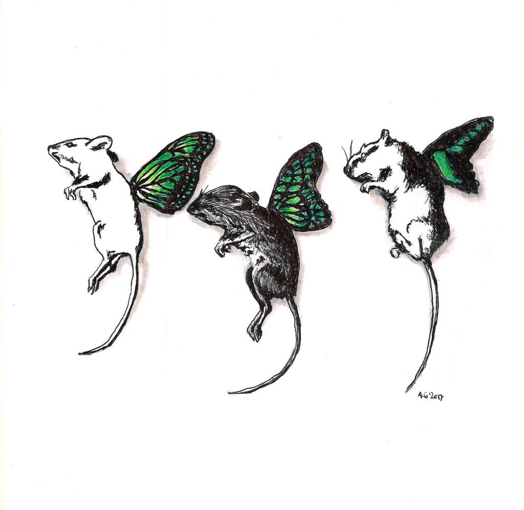 #mice #butterflies #wings #animalgenetics #grafik #graphic #tattoo #annegeorgius #corpusdelicti #principia.discordia