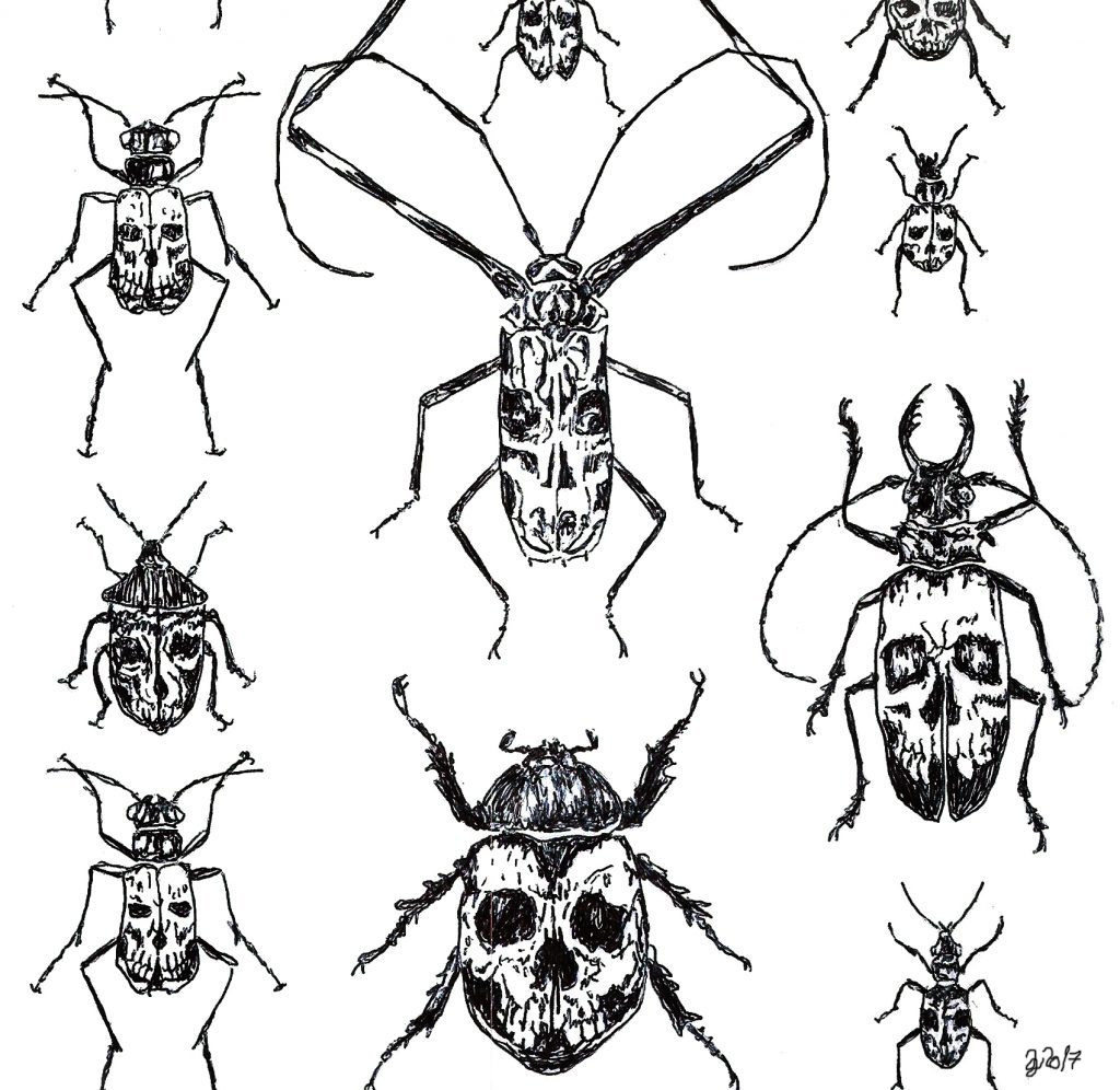 #invertebrates # bugs #bug #skull #skulls #grafik #graphic #tattoo #annegeorgius #corpusdelicti #principia.discordia