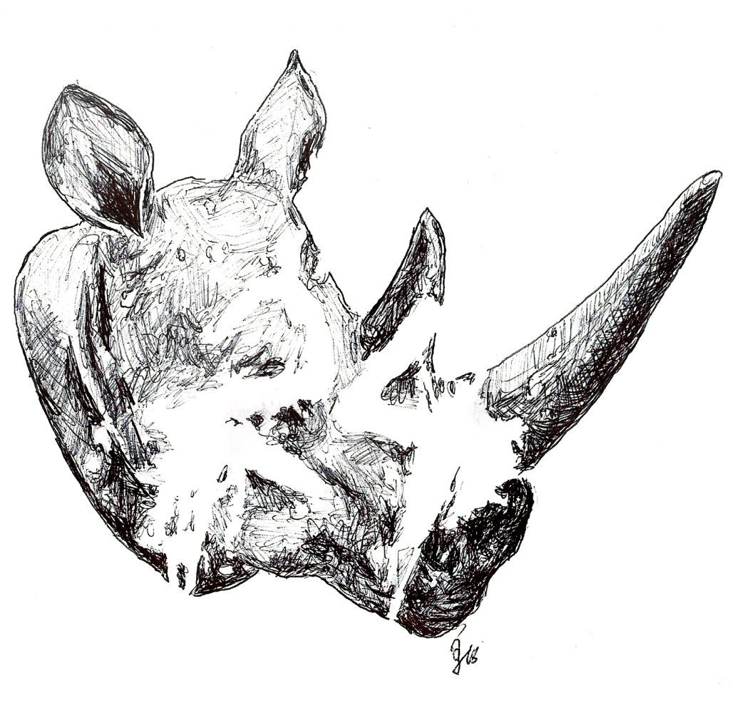 #rhinoceros #rhino #nashorn #endangered #extincted #grafik #graphic #tattoo #annegeorgius #corpusdelicti #principia.discordia