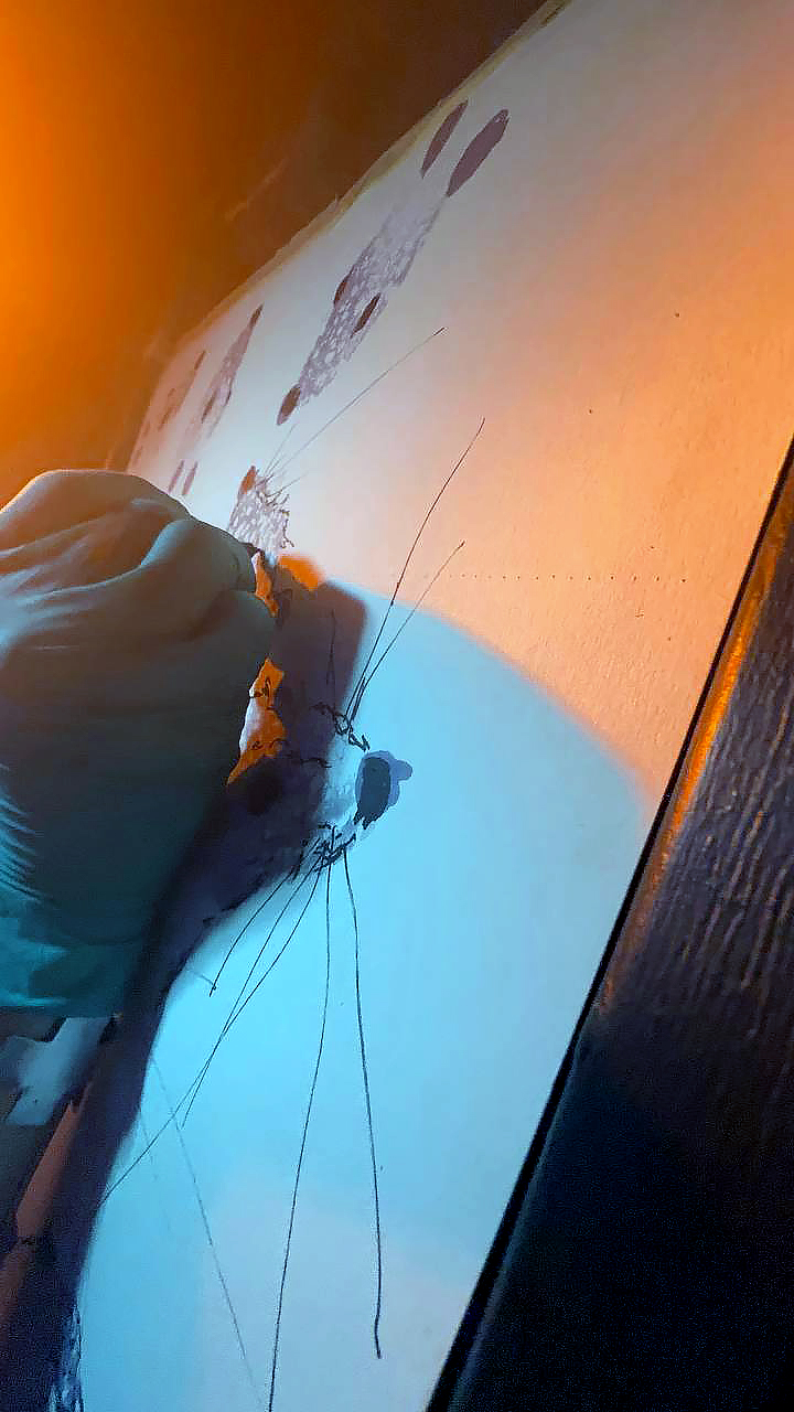 photo_2024-12-07_22-31-04