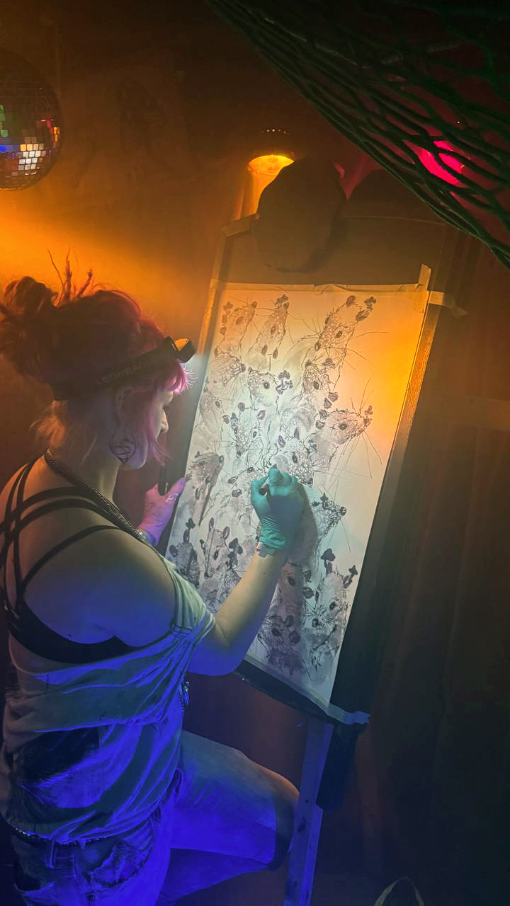 photo_2024-12-07_22-31-19