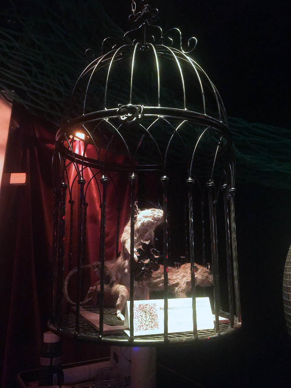 photo_2024-12-07_22-31-30